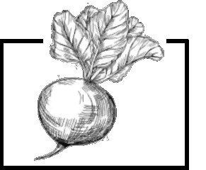 Logo Le Fournil d'Elina